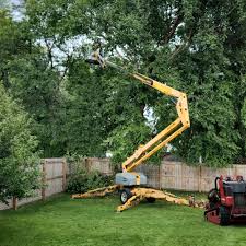 Grass Overseeding in Commerce, GA